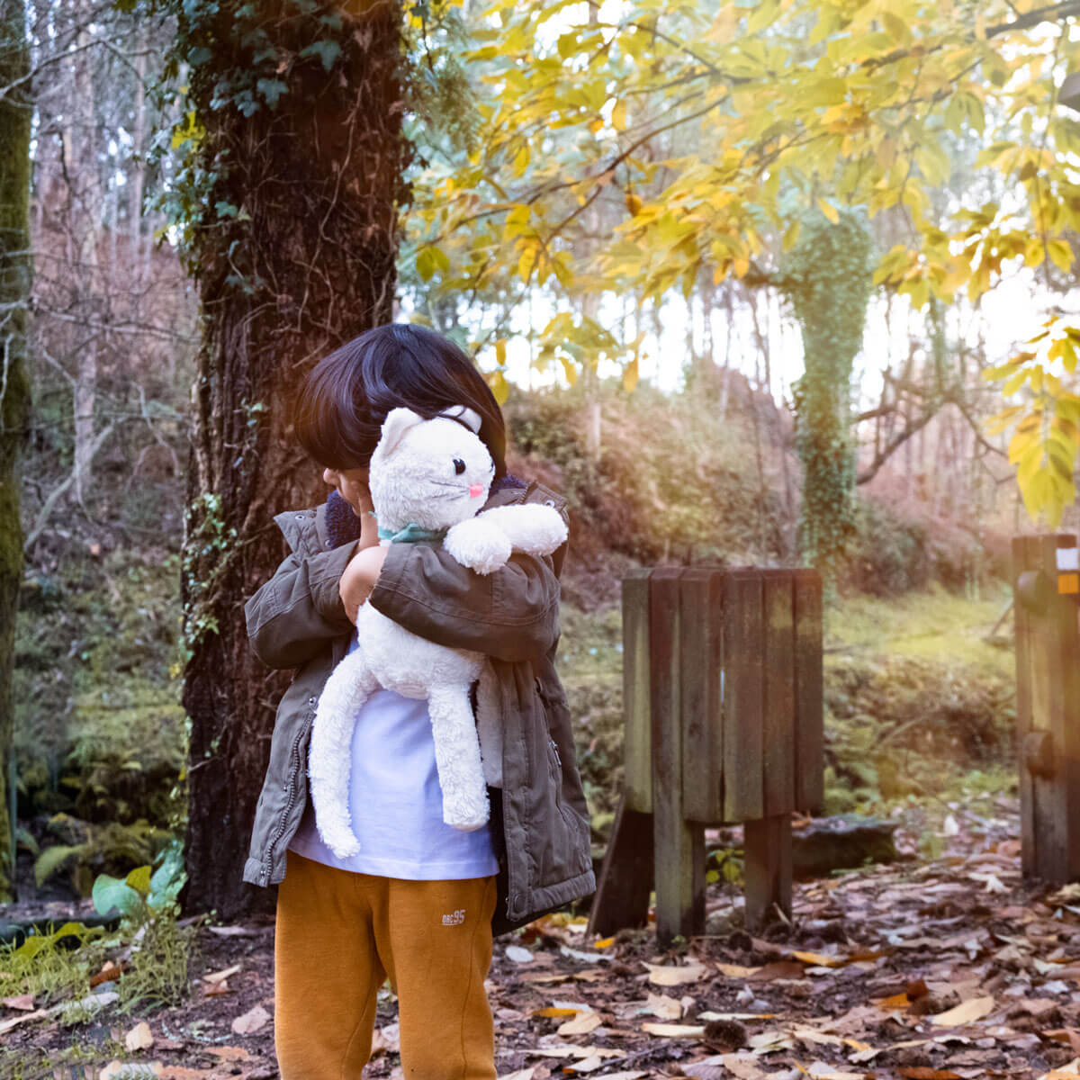 Nuestros productos - The Misia Project